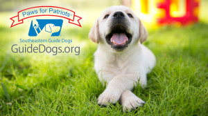 Fundraiser: Paws for Patriots